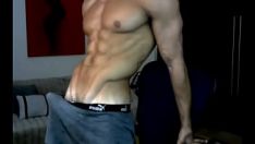 Jouer Un homme brun musclé et bien membré s'exhibe sur la webcam xxx