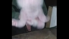 Jouer Amusement à fourrure dans le hangar : rencontre avec les ours en peluche sauvages de Gay Sissy