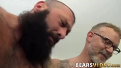 Reproduzir Ursos Tatuados em Trio Hardcore