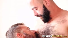 Play Hairy Daddies in Rough Gay Bareback Encounter