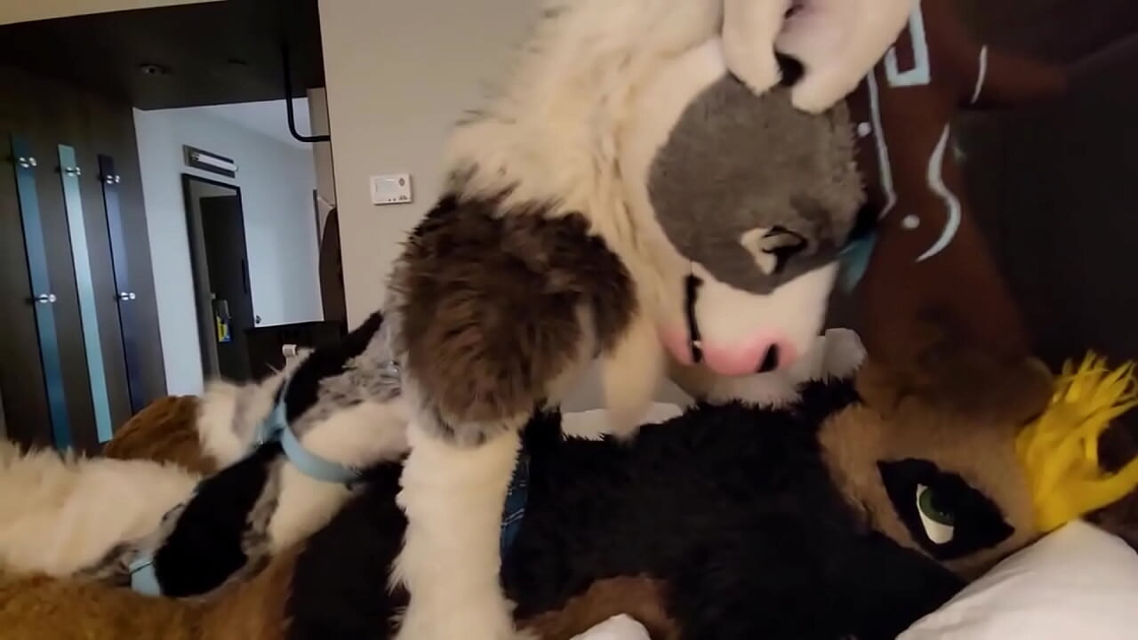 Gay fursuit orgy