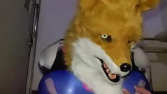 Reproduzir Big Kits Fox fica travesso no banheiro público