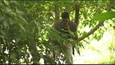 Reproduzir Desfrutando de uma boa foda de cruzeiro gay no meio da floresta