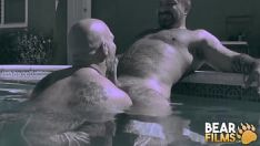 Riproduci Bella scopata nella piscina di questi due gay arrapati